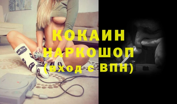 ешки Алексин