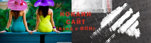 молекула духа Алексеевка