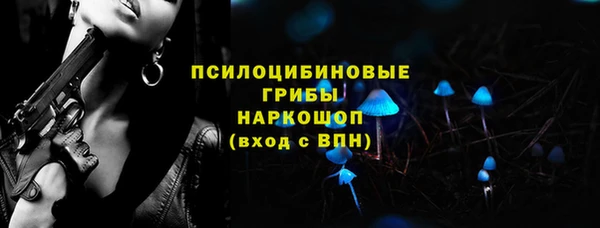 МДПВ Алзамай