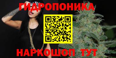 мдпв Обнинск
