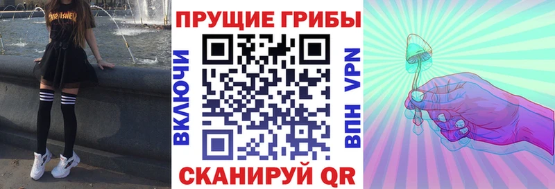 Галлюциногенные грибы Magic Shrooms  Псков 