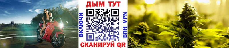 дарк нет формула  Псков  Марихуана сатива 